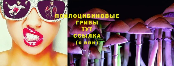 спиды Арсеньев