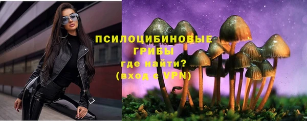 спиды Арсеньев