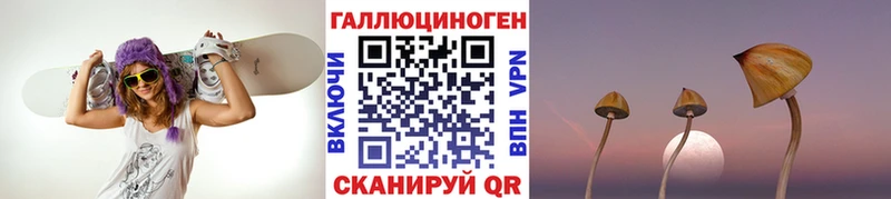 Галлюциногенные грибы Psilocybe  Пошехонье 